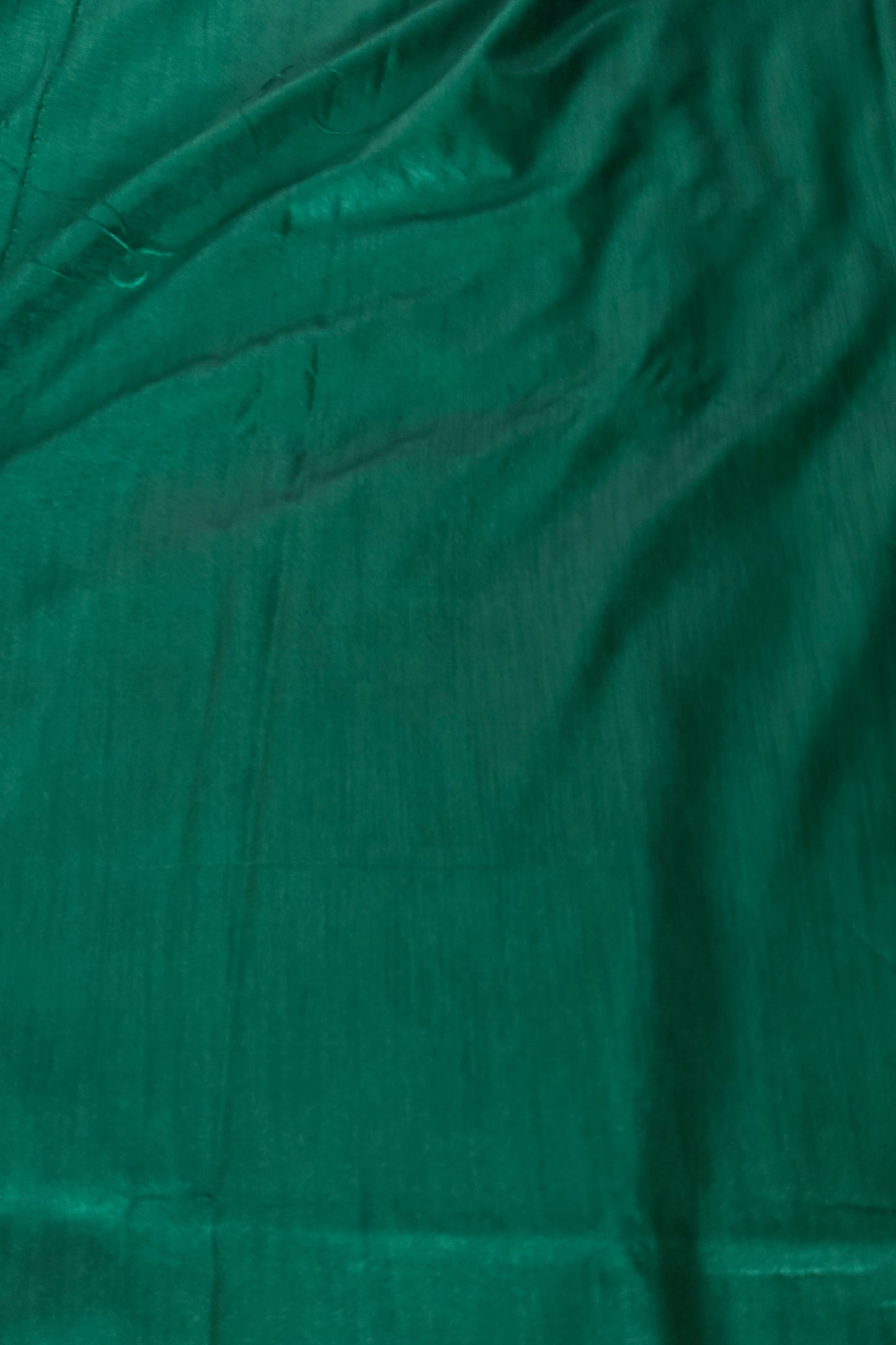 Green Raw Silk Saree with Contrast Motif Work