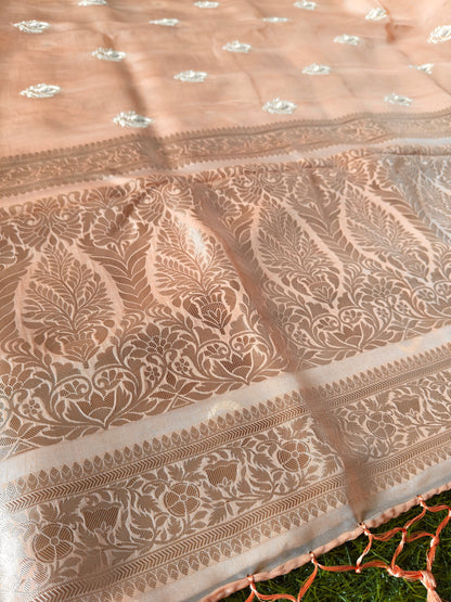 Peach green Organza Saree (Copy 2)