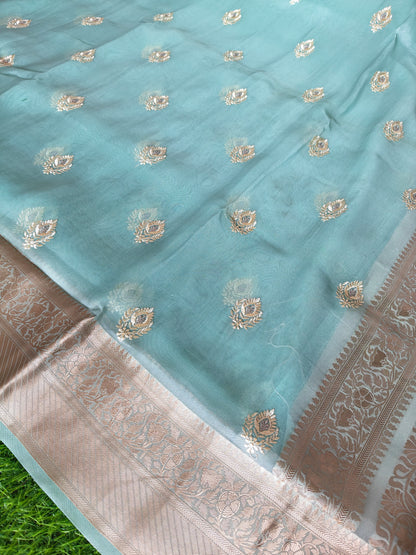 Sky BlueOrganza Saree (Copy)