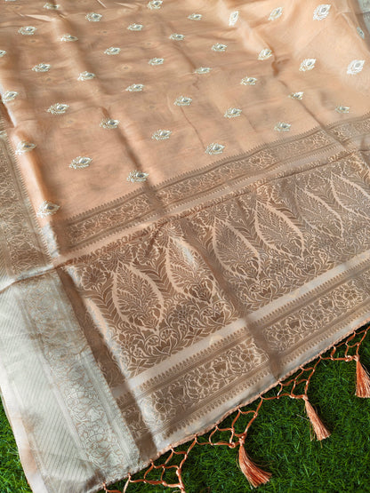 Peach green Organza Saree (Copy 2)